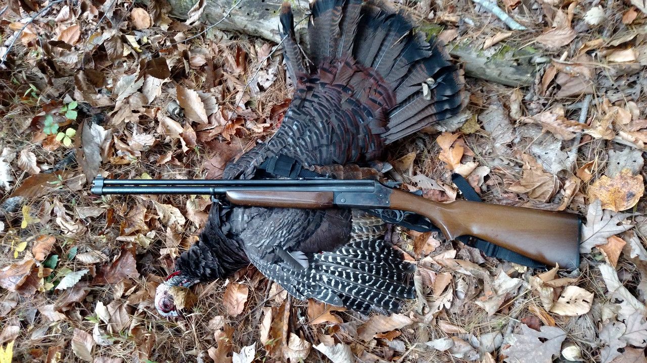 FA54EC10-4EB2-4103-97F7-C7B51E47878D