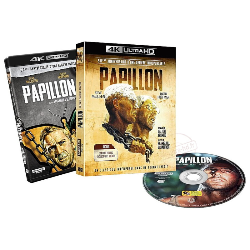 papillon-p2