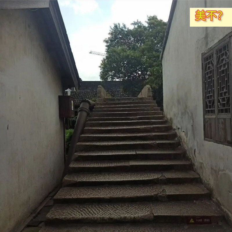 https://i.postimg.cc/X7SVC7TM/In-Shot-20230903-005606168.jpg