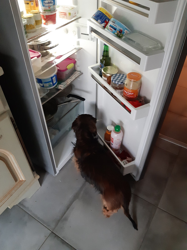 [Image: 20230307-085921.jpg]