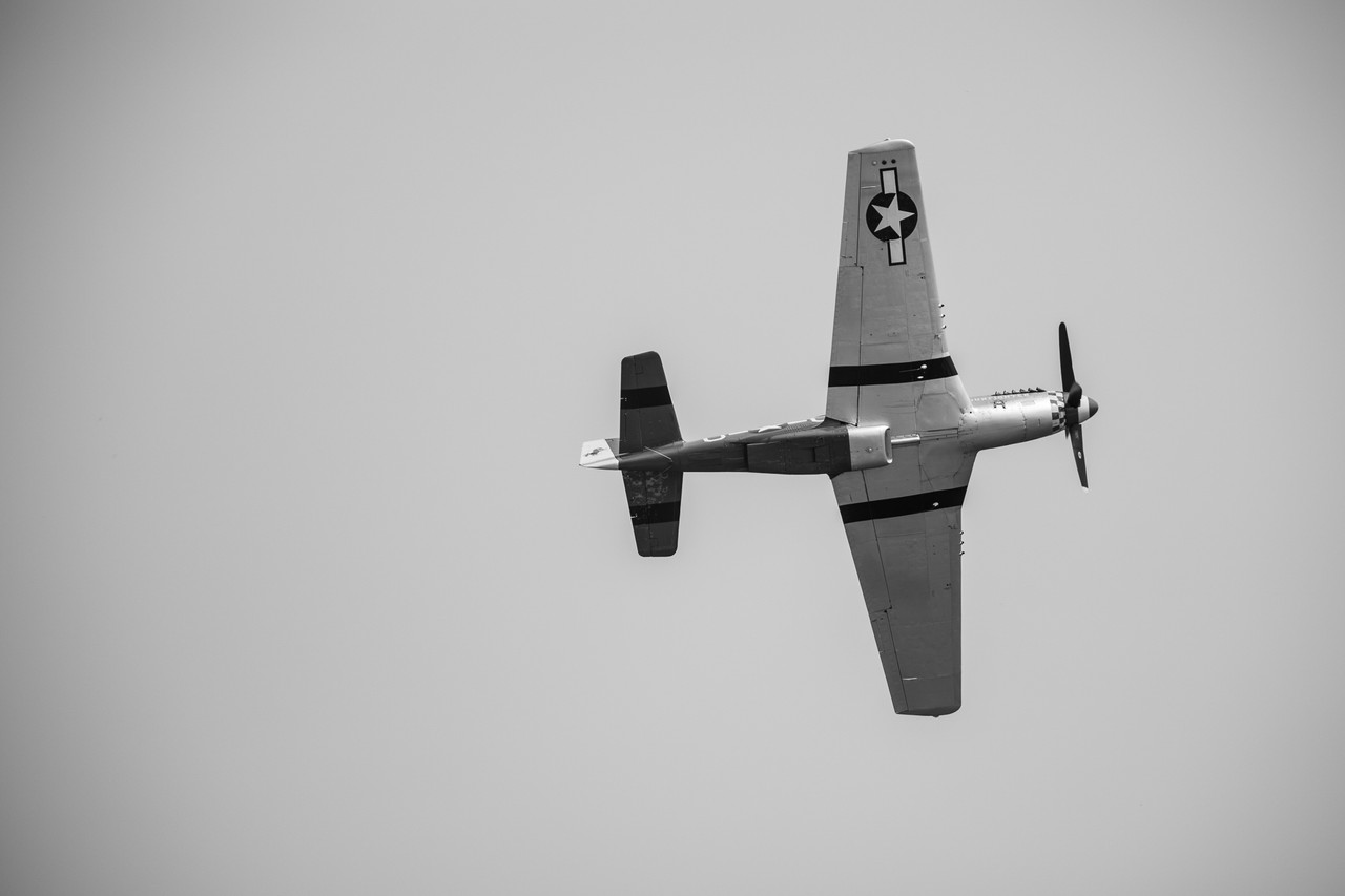 DV0A3291
