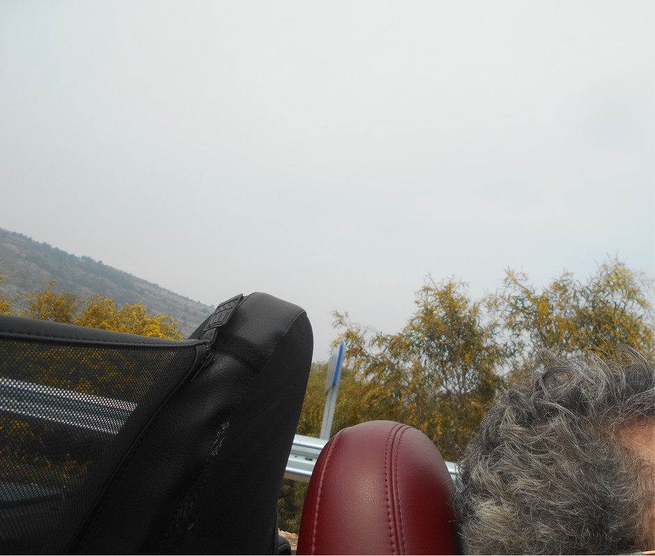 DSCN4466a.jpg