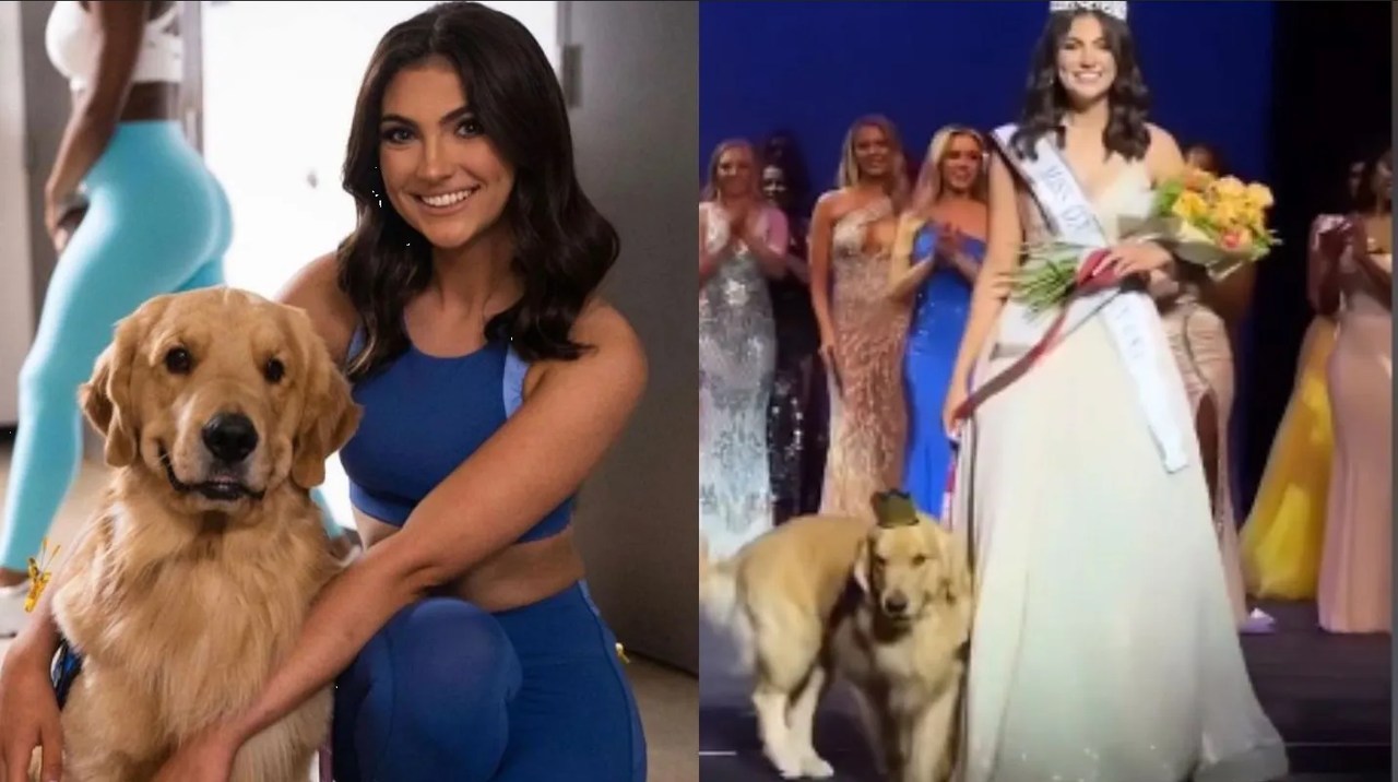 Perrito es coronado en certamen de belleza, acompañaba a su dueña con epilepsia