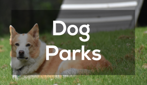 Dog Parks