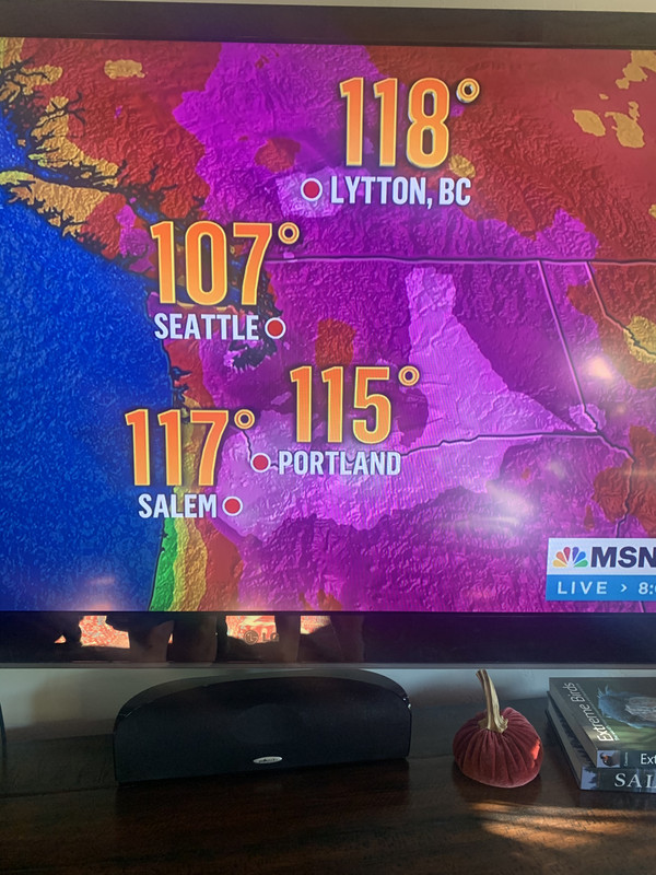 3814A5E1-3E4D-4DD6-8CF0-A93DA5E2D58B