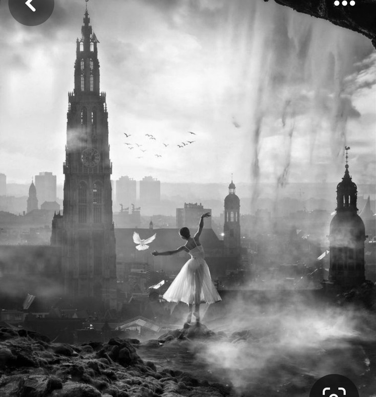 Screenshot_20240121_231404_Pinterest