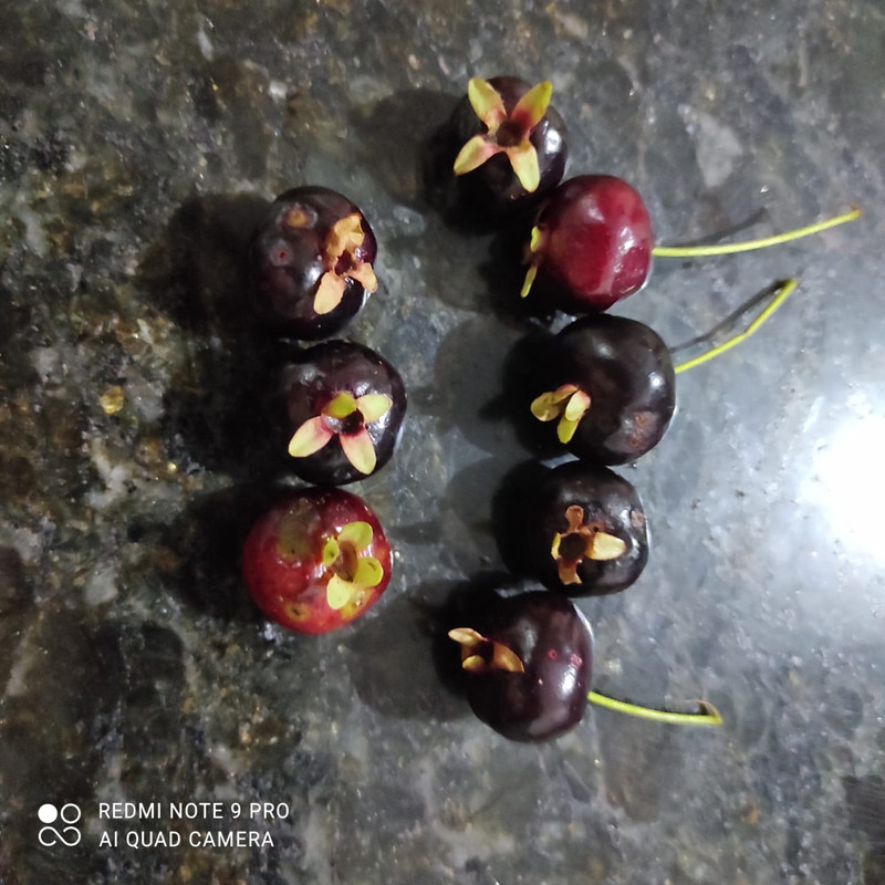 WhatsApp Image 2020-12-20 at 13.41.20 (15)