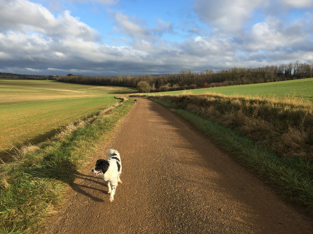 27BA2889-BF62-4EB0-9FC1-5EA5EB3A59D4