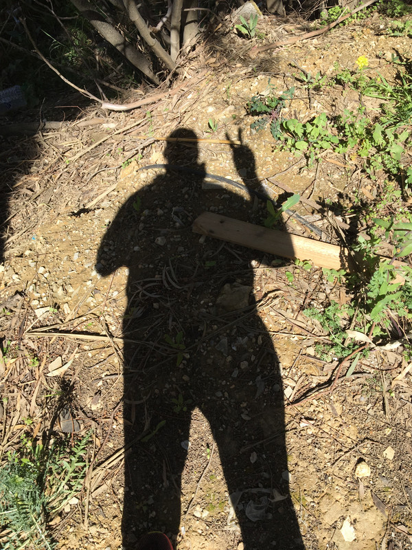 2A22244D-F291-4026-91EF-C35B7620A634