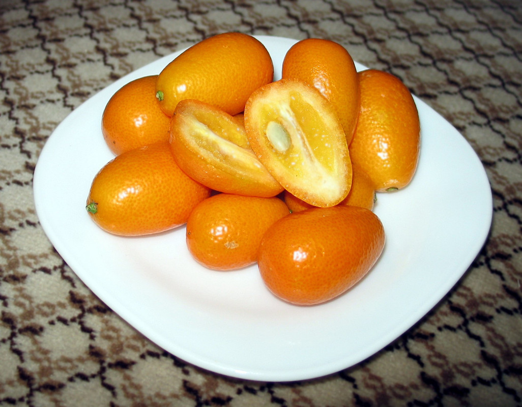 inside-sour-nagami-kumquat.jpg