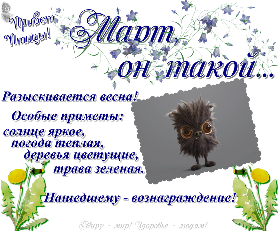 https://i.postimg.cc/X7V8LFB8/02-03.png