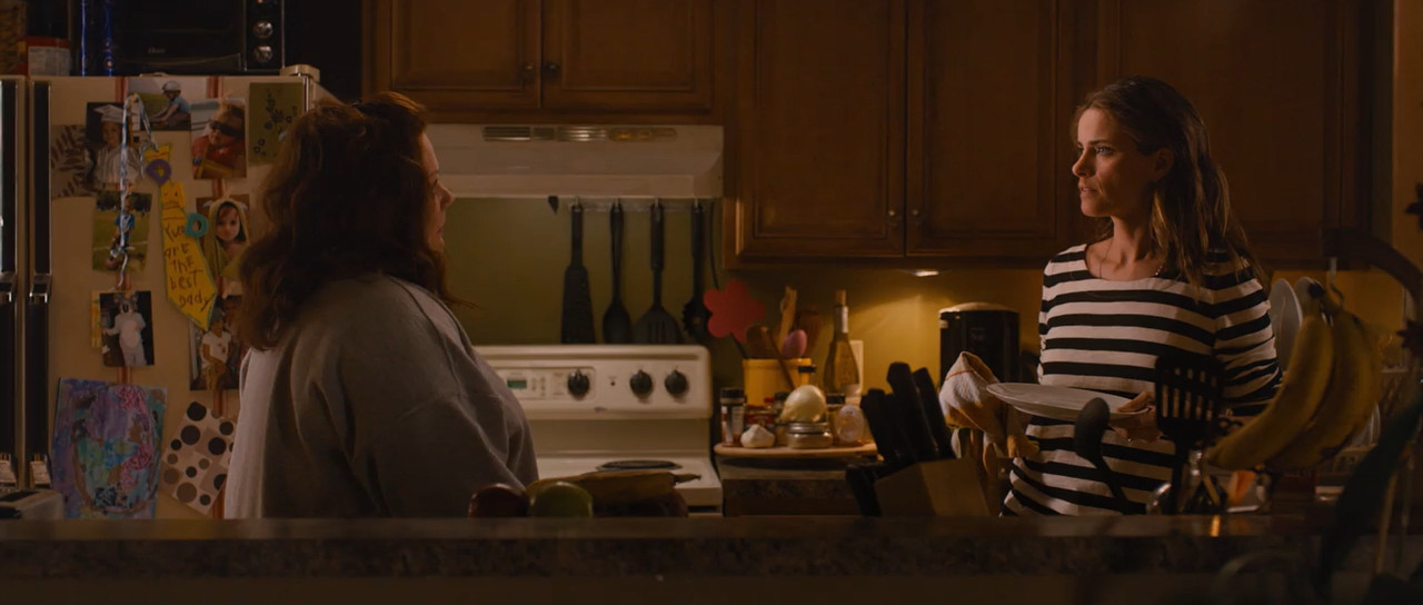 Identity Thief 2013 Unrated BluRay [Hindi + English] 480p 720p ESub Screenshot