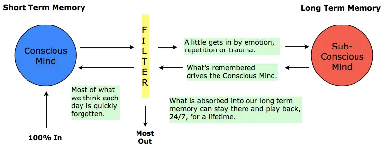 Memory.webp