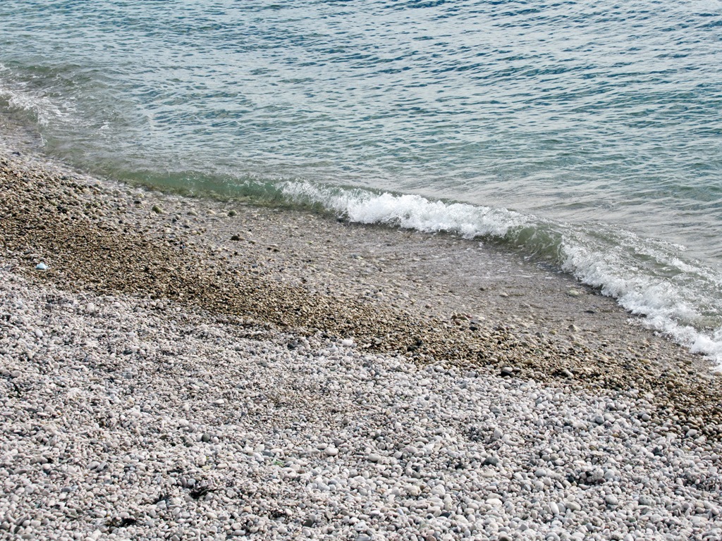 https://i.postimg.cc/X7VSJCLy/IMG-1849.jpg