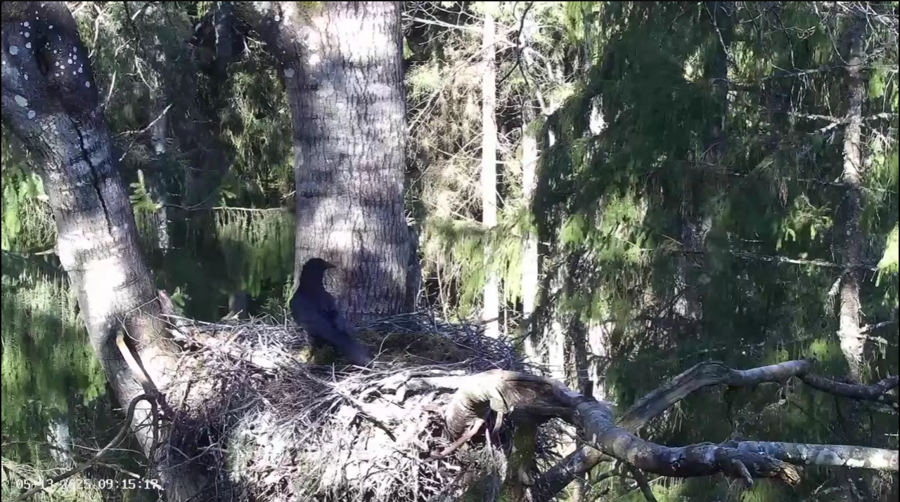 Ekrānuzņēmums 2025-05-13 092343