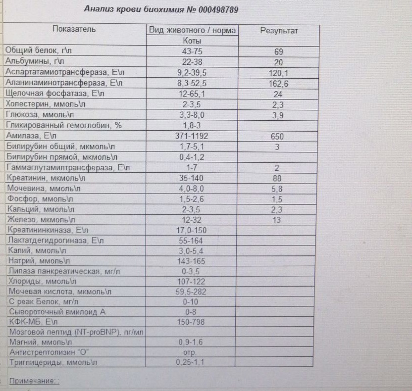 252481CF-1153-4A2F-A8ED-2FA1EAF49443
