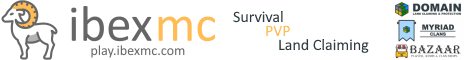 server banner