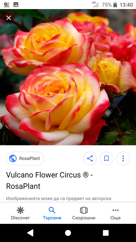 Screenshot_20190506-134027