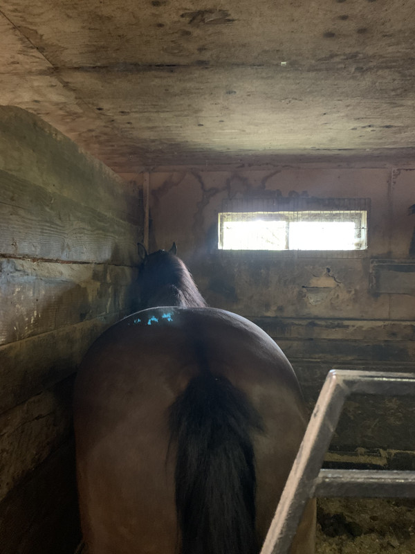 02A054FF-B101-4217-B298-39E77F4015B8