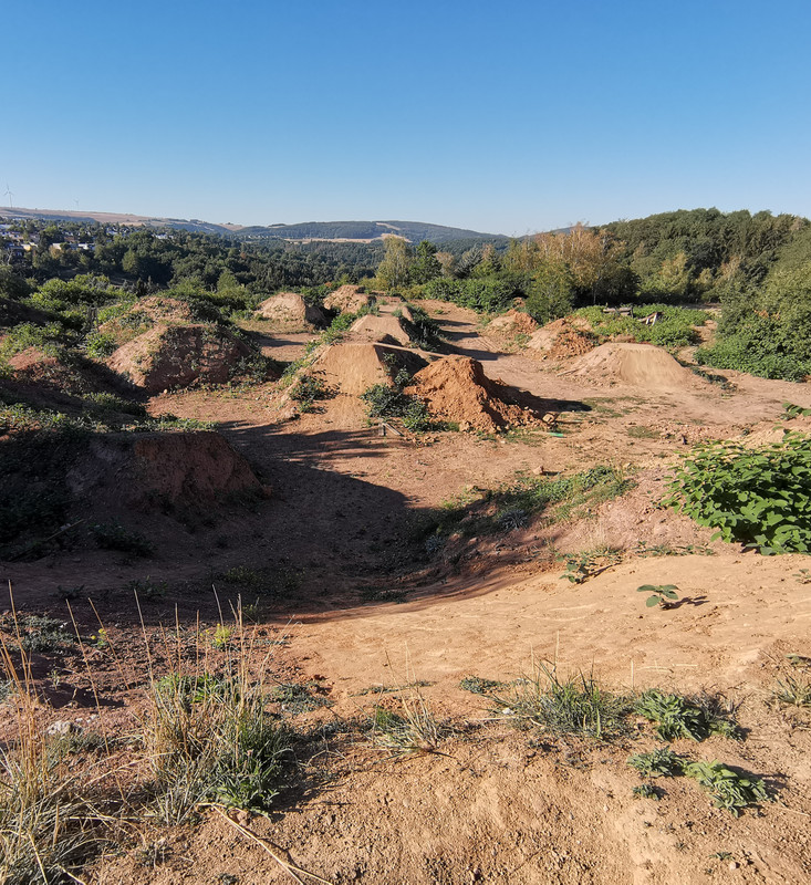 IMG_20200731_082127_2