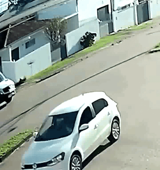 88.gif