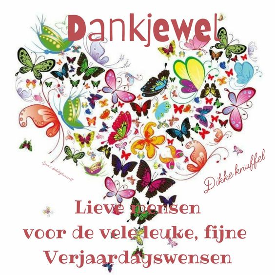 a591df2506c2f8a5e6f213a4547a7f06