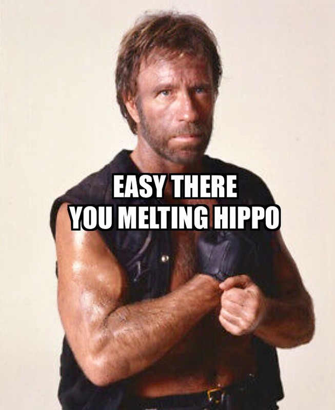 35BD8A53-93C7-4891-81EA-F1F6A5C66928