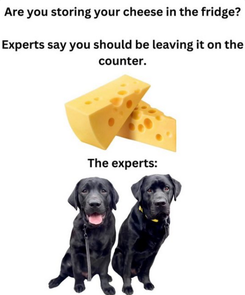 2025-01-08-14021210017.png