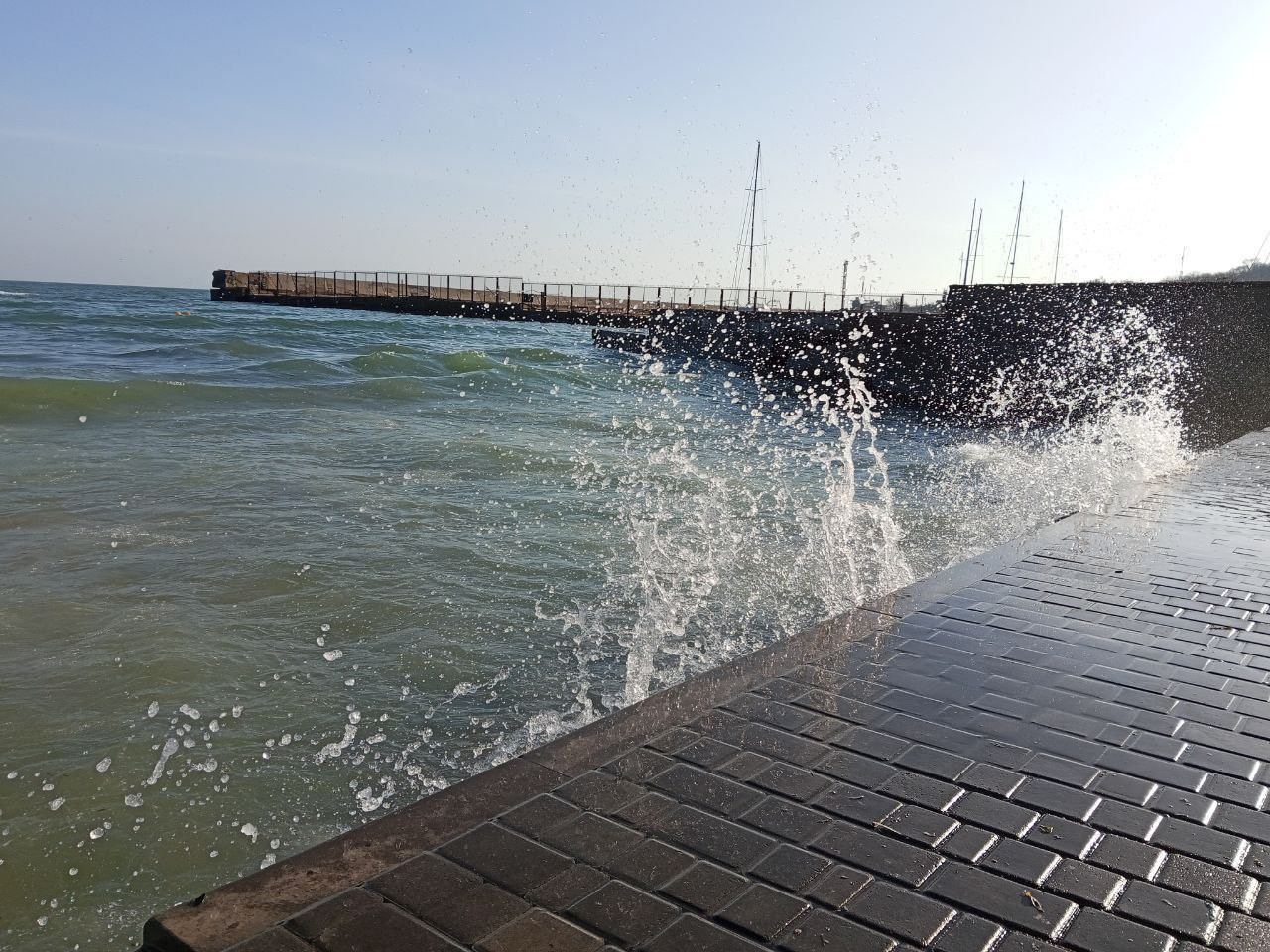 photo 2026 01 06 20 26 33