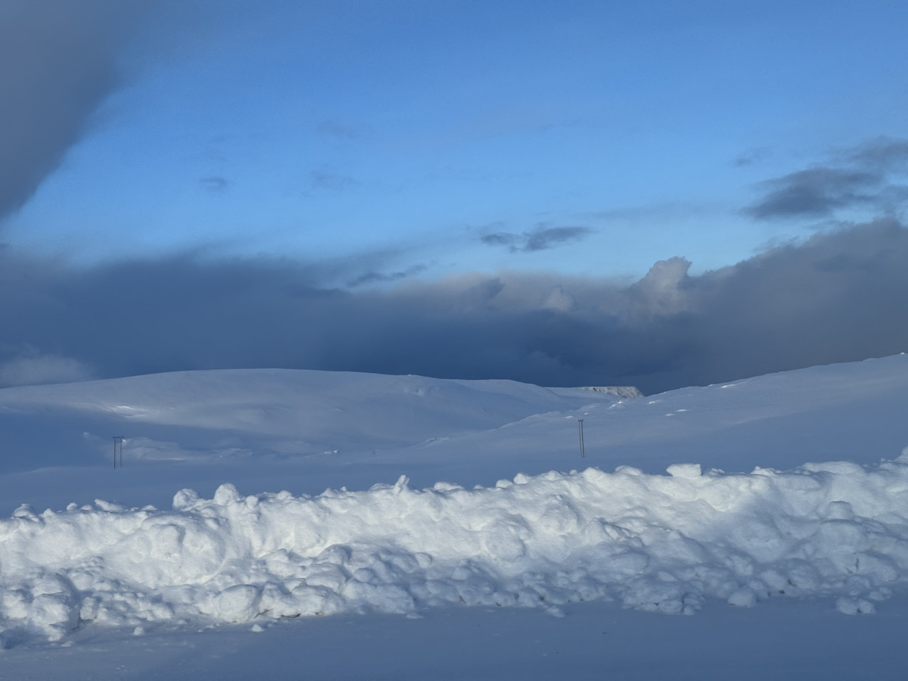 [Immagine: IMG_7740.jpg]