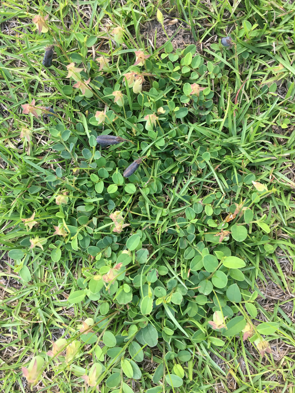 1FD6C098-7EF8-4615-BE91-4408F1D9C2EE