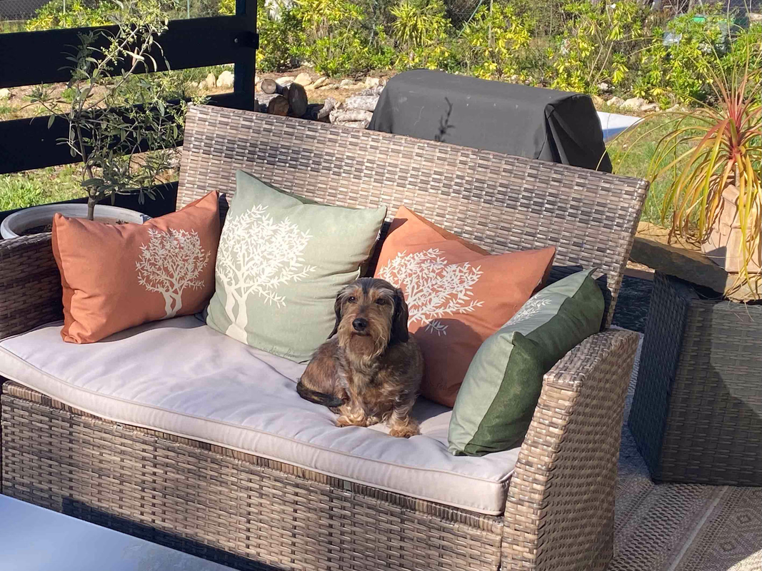 [Image: temp-Image-Eykcx-X.avif]