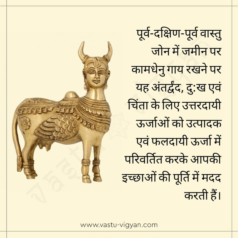 259491087_203813501937642_7770605196046593241_n