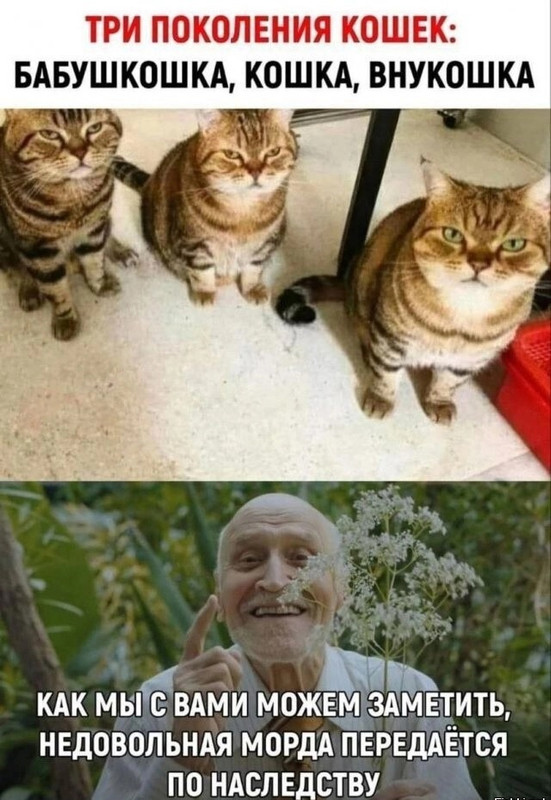 NLBGwFbUYMJNYRAsgi3E9_qLGv_41EvUoeN8o79Oq6HFfp2grE9cgY0AIwkiTlegIC_JroA7KJPFnx9fg6K2wZm8