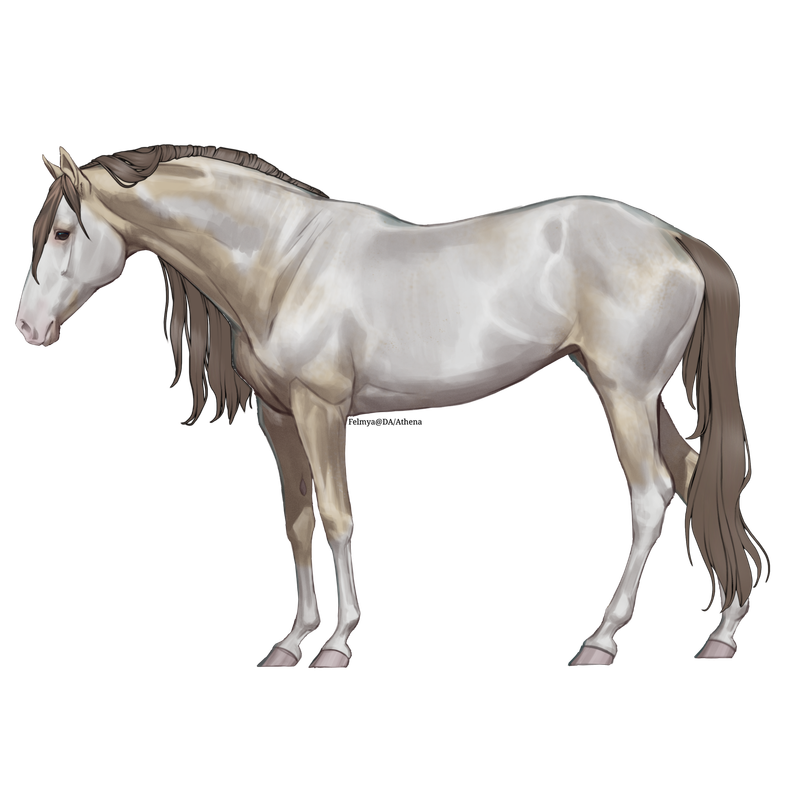 Untitled88-20250331192835.png