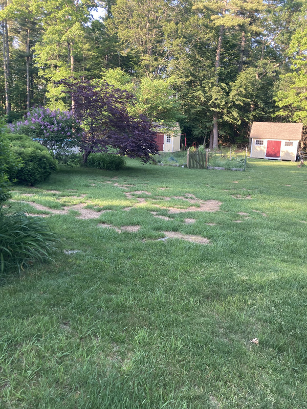 2938574A-09EB-4BBB-9BBD-DFC8B47391A6