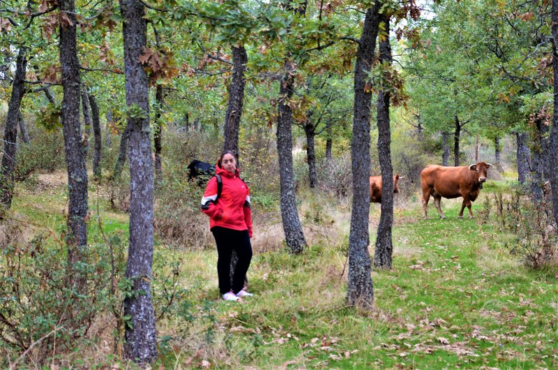 EMBALSE DEL PONTON ALTO-14-10-2012-SEGOVIA - Paseando por España-1991/2024 (12)