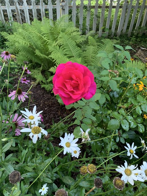 [Image: IMG-6503.jpg]