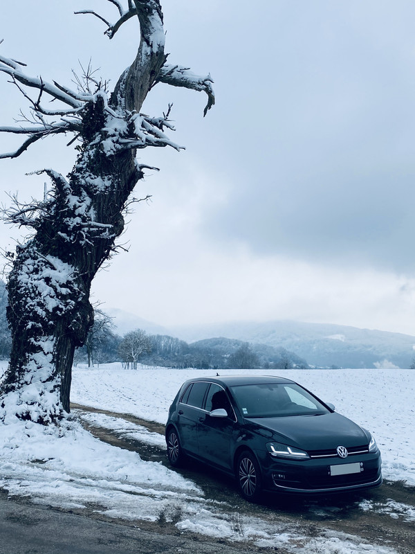 F9028852-B7F4-4B8B-B9E7-08DE613B16CE