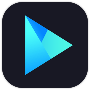 Vidmore Player 1.1.38 Multilingual