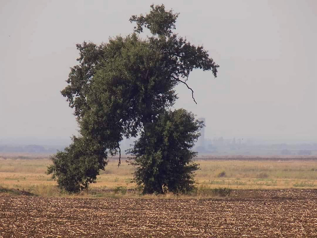 FB_IMG_1632815497000