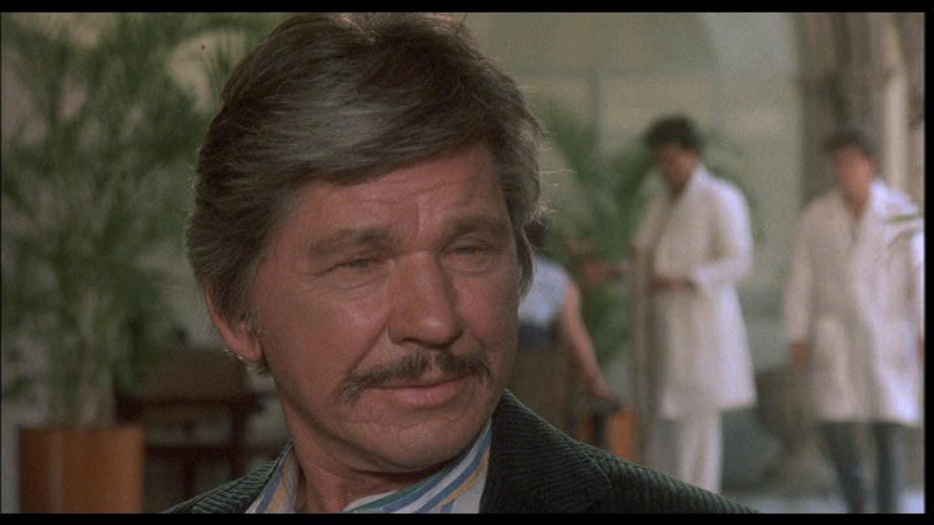 vlcsnap-2024-12-30-18h39m03s946