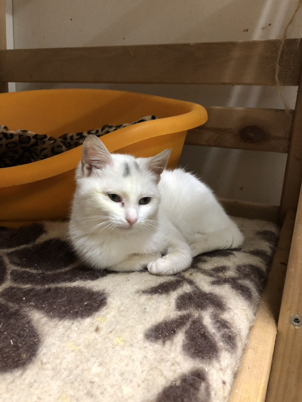 CD45432E-2DB2-4ECD-A1AE-6476F25EEA3C