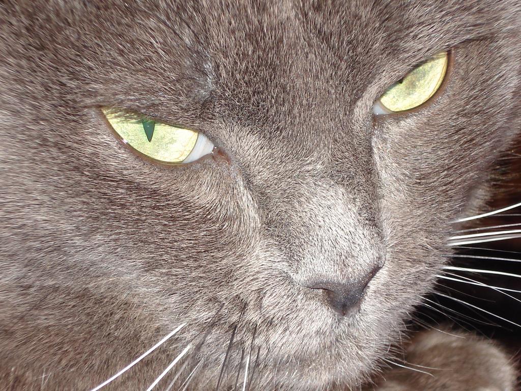 DSC04229.jpg