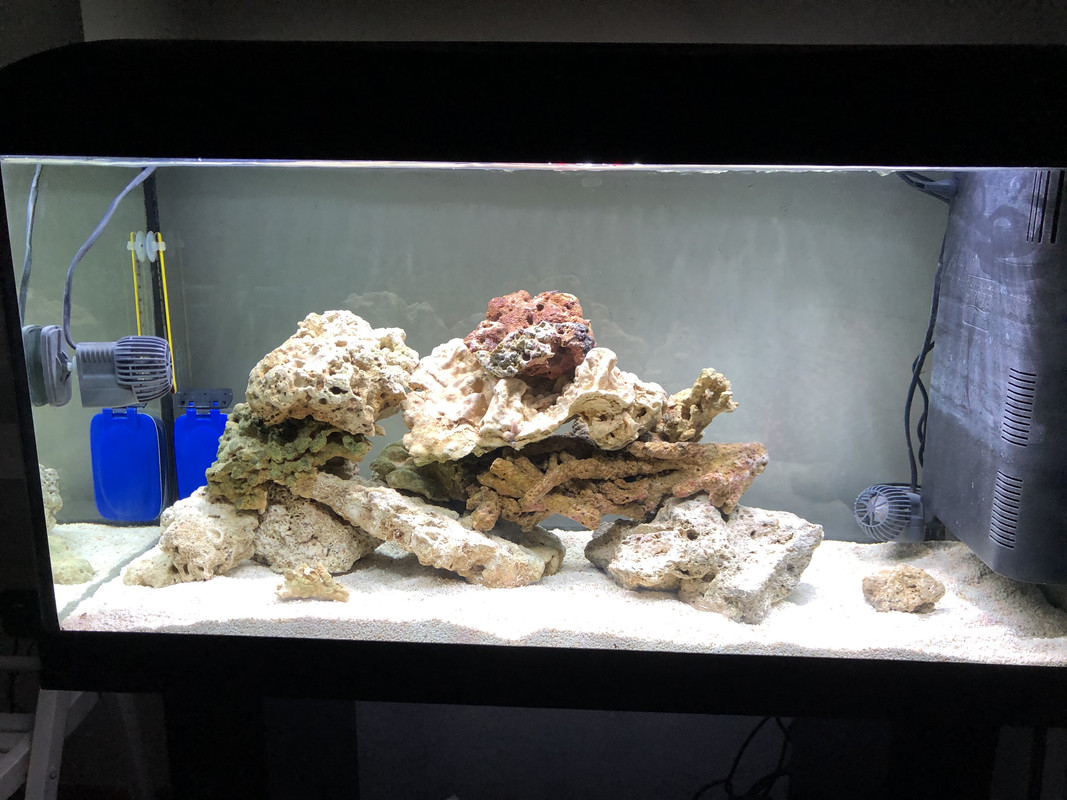 E7BBE10A-AD85-4C45-9761-14D731A83358