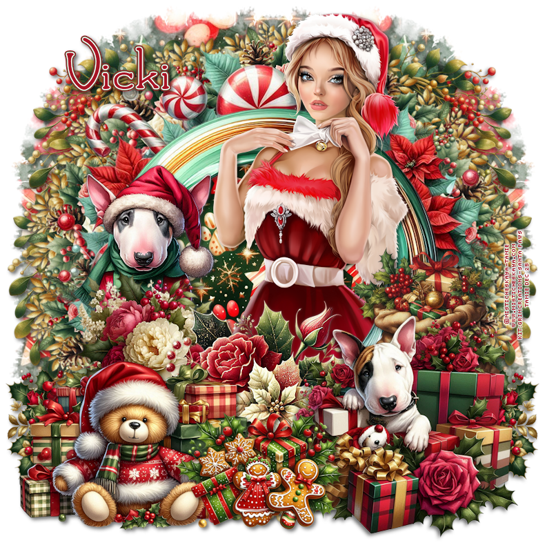 Christmas Frame Challenge Tag2 vicki