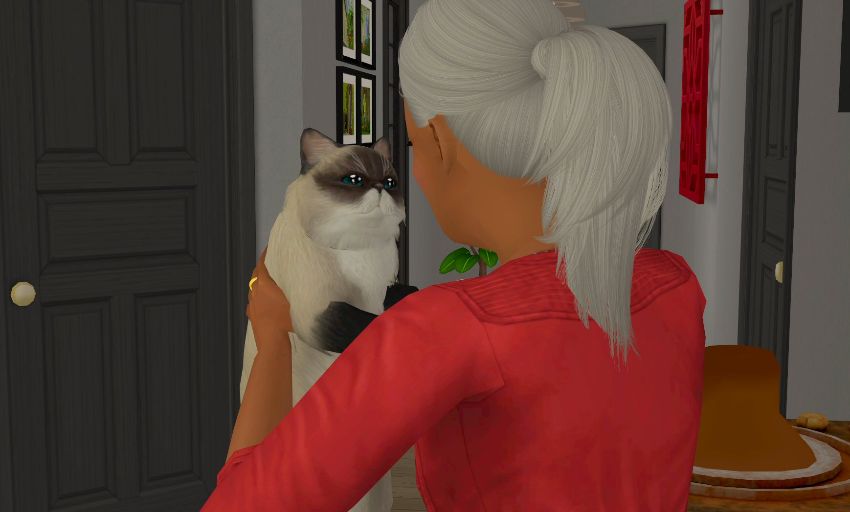 Sims2-EP9-2021-02-01-22-38-17-81