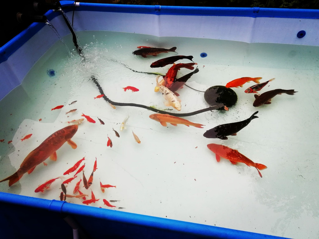 9E01ECF1-3CB9-45E5-9A44-D2A3F876D07C