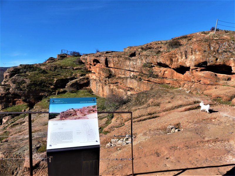 YACIMIENTO ARQUEOLOGICO DE TIERMES-16-2-2020 - Soria y sus pueblos-2010/2013/2020 (39)