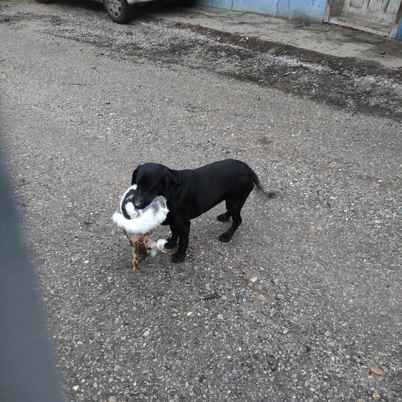 474226046_629134012965130_8435513548898031493_n